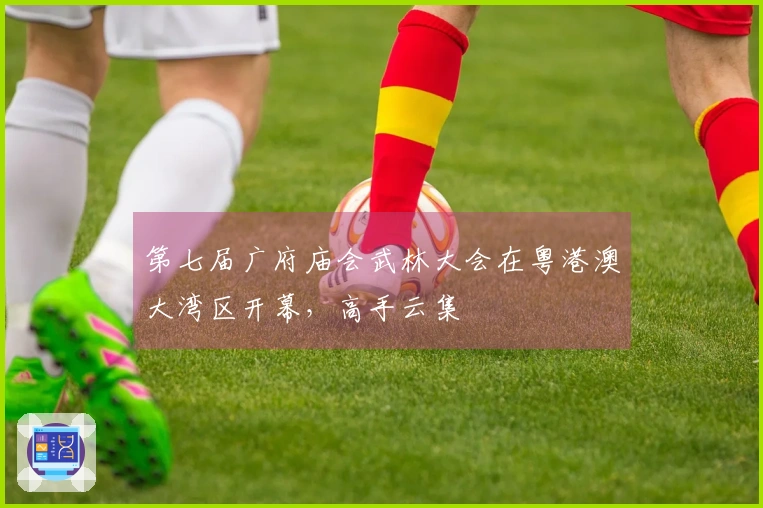 第七届广府庙会武林大会在粤港澳大湾区开幕，高手云集