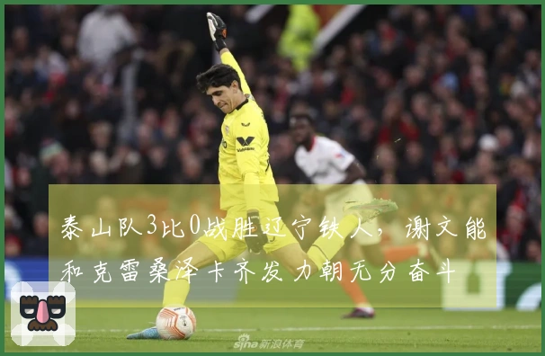 泰山队3比0战胜辽宁铁人，谢文能和克雷桑泽卡齐发力朝无分奋斗
